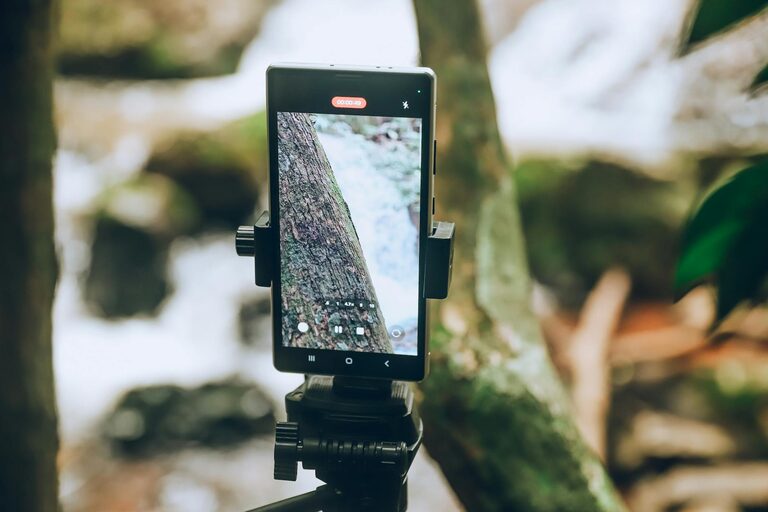 Beginner Tips for Taking Better Phone Photos Every Time